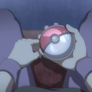 Meet your Posher, Leo